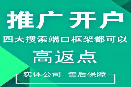 行业领先企业的SEM代运营经验分享